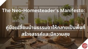 Read more about the article The Neo-Homesteader’s Manifesto: คู่มือเปลี่ยนบ้านธรรมดาให้กลายเป็นพื้นที่สร้างสรรค์และมีความสุข